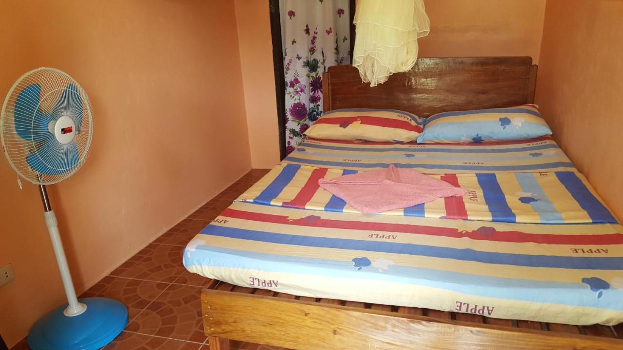 Trisha Lodging House سان فيسنتي المظهر الخارجي الصورة
