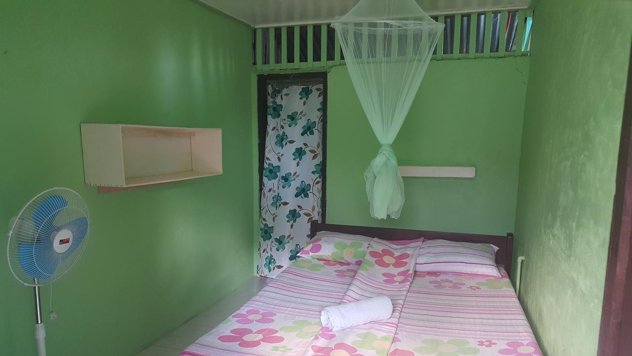 Trisha Lodging House سان فيسنتي المظهر الخارجي الصورة